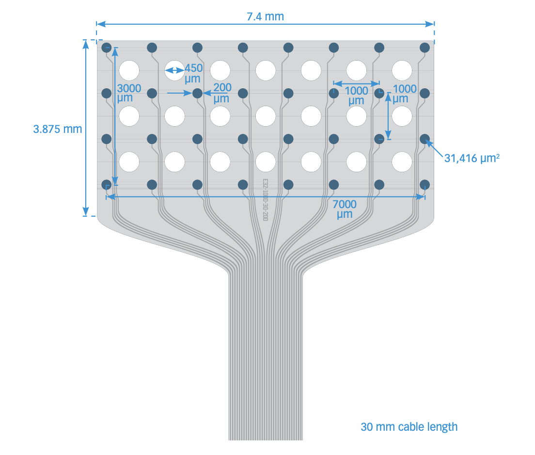 E32-1000–30-200, Neuronexus Technologies, USA